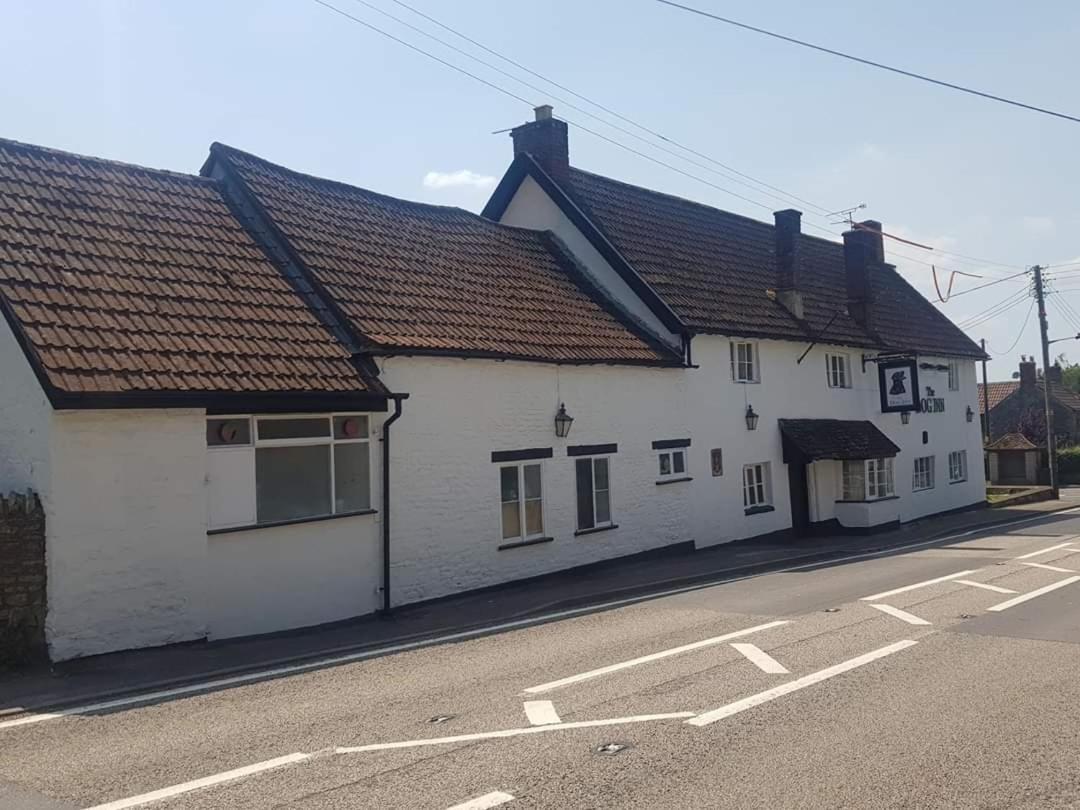 The Dog Inn Old Sodbury エクステリア 写真